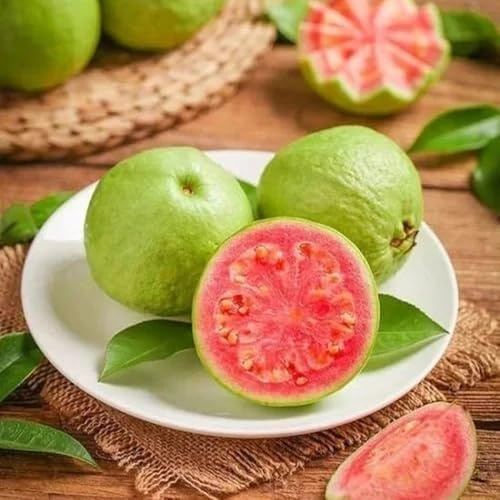 Guavenbaum, obstbäume obstgarten kaufen balkonpflanzen obstbaum steingartenpflanzen säulenobstbäume seltene for 125Samen