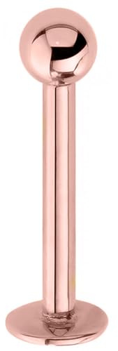 Jewel Barrel Labret Piercing 6mm 8mm Stab Lippenpiercing Lippe Stud Ring Monroe Helix Tragus Ohrstecker Körperschmuck 16g (1,2 mm) Chirurgenstahl mit Kugel (Roségold, 6)