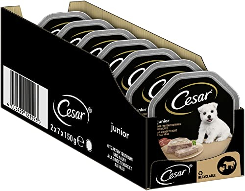 Cesar Hundefutter Nassfutter Junior für Welpen und Junge Hunde <1 Jahre mit Truthahn & Kalb in Pastete, 14 Schalen (14 x 150g), 2100 g