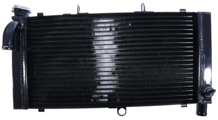 avdb-moto Radiatore Acqua Compatibile con HONDA CBR 900 RR 900RR SC28 1992-1993, CBR 900 RR 900RR 1994-1995 Tipo Racing in alluminio (Nero)
