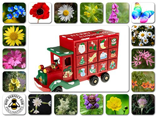 Wildflower Truck advent calendar sow your own meadow 24 packets of wild flowers AMAZING GIFT