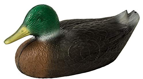 Leitold Ente, Ziel oder Zielscheibe für den Bogensport, Bogenschießen | Pfeil und Bogen, Armbrust Sport, 3D
