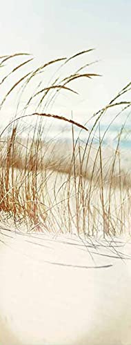 A.Monamour Türtapete Selbstklebend Türfolie Türposter 3D Trockenes Gras Sand Wüste Dünen Landschaft Vinyl Folie Türdeko Tapete Wandbild Türaufkleber Türtattoo 77 x 200 cm
