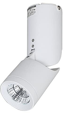 Lampada da soffitto ad angolo pieghevole a 360 ° bianca montata a parete Faretto cilindrico da incasso Plafoniera a LED 5W Faretti in alluminio Corridoio Corridoio Soggiorno Portico Sfondo Wall Washer