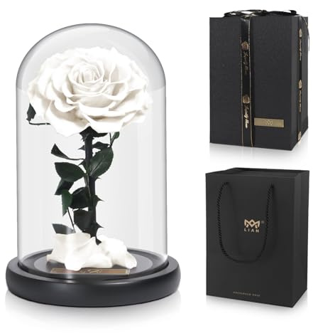 Lian Konservierte Blume echte Rose in Glaskuppel Geschenke für Frau | Romantische Konservierte Rosen nie Verwechselt Valentinstag, Muttertag, Geburtstag, Jubiläum, Hochzeit und Weihnachten