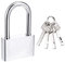 lamondre lucchetto 50mm Lucchetti con 4 chiave, lucchetto antiscasso serratura cancello per Porte interne ed esterne, armadietto, bicicletta