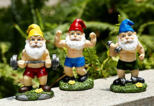 Mrsivrop Funny Workout Gartenzwerge Statuen 3 Stück 15,7 cm Outdoor Funny The Muscular, Langhantel und Hantel Zwerge Dekorationen Set für Hof, Rasen, Terrasse, Indoor Zwerg Figur für Zuhause