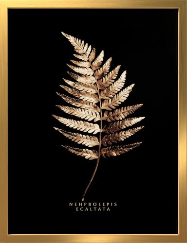 STYLER Bild Gold Fern 30x40 cm (AUFHÄNGFERTIG) mit hochwertigem Rahmen – Luxuriöse Fern-Blatt-Ästhetik in Gold auf Schwarz – Modernes mattes Finish