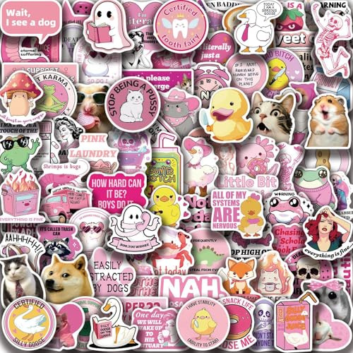 Rosa Ironie Aufkleber 100 Stück Vinyl Lustige Humor Sticker für Laptop Wasserflasche Kindle Skateboard Gepäck Auto,Wasserdicht Cartoon Niedliche ästhetische Stickers für Teenager MäDchen