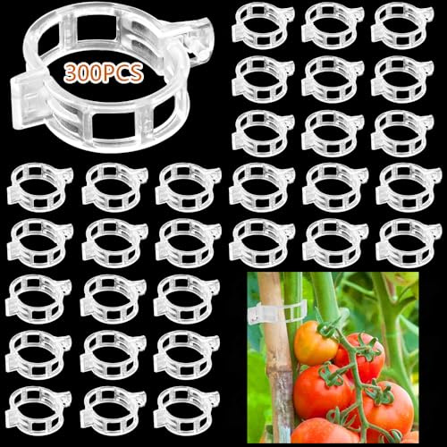 ZDQC 300 Stück Tomaten Klammern,Pflanzenclips,Tomatenclips Biokunststoff,Pflanzenklammern Tomatenclips,Tomatenklammern,Pflanzenklammern Klein,Pflanzenclips Tomaten,Ranken Clips