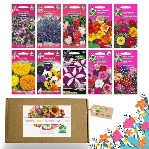 Nojus Blumen Samen Set – Blumensamen 10 Sorten – Balkon Blumen Saatgut – Bunte Pflanzensamen - 10 Packen – Wildflower Seed – Blumensamen Tütchen – Ideales Blumensamen Geschenk