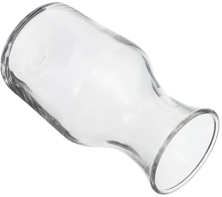 Ciieeo Caraffa per Vino Personale in Vetro Trasparente Decanter Design a Piatta Mini Caraffa per Servire Vino per Individuale e Eleganti