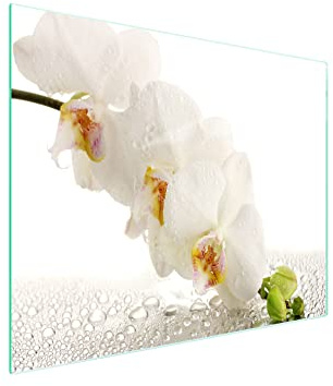 DarHaus Herdabdeckplatte einteilig 52x30 cm Ceranfeld Abdeckung Glas Spritzschutz Abdeckplatte Glasplatte Herd Ceranfeldabdeckung Deko, Orchidee Weiß