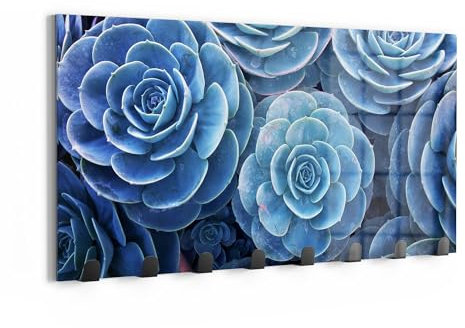 DEQORI Wandgarderobe Glas & Metall | Motiv Blaue Sukkulentenpracht | 60x30 cm | Design Haken-Leiste modern | Garderoben-Paneel für Flur, Wohnzimmer & Schlafzimmer | magnetisch & beschreibbar