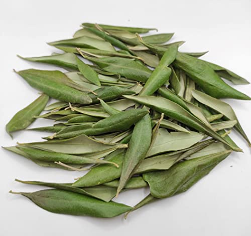 Foglie di Olivo Secche Greche 85 Grammi - 1.95 Chili - Qualità Premium (460 grammi)