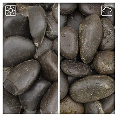 Kieskönig Schwarzer Zierkies Flusskiesel River Pebbles Gartenkies Gartenteich 30/60 20 kg