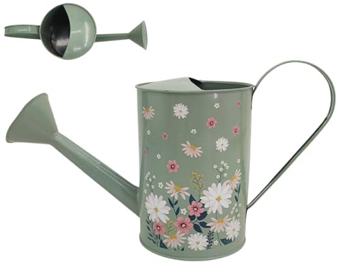Arrosoir,avec Bec Long Outil de Jardinage | Petit Arrosoir 2L pour D'Intérieur | pour Fougères Fleurs Jardinières Balcon Terrasse