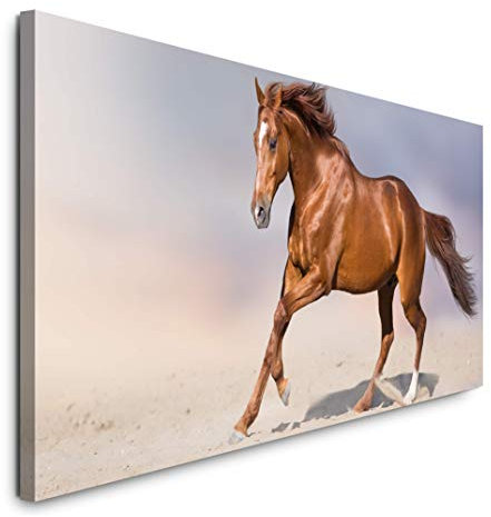 Paul Sinus Art GmbH Pferd in Einer Wüste 120x 50cm Panorama Leinwand Bild XXL Format Wandbilder Wohnzimmer Wohnung Deko Kunstdrucke