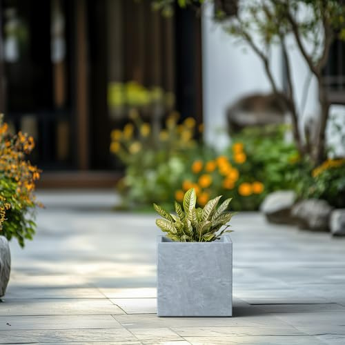 Kante Élégant Pot de Fleurs carré en béton Fait à la Main pour intérieur et extérieur, Gris Clair, 25,4 x 25,4 x 25,4 cm