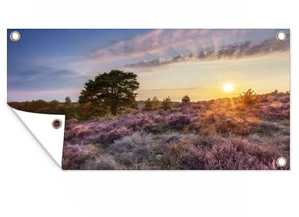 MuchoWow Outdoor-Poster Poster Wanddeko draußen Deko Garten Gartenposter 160x80 cm Blühendes Heidekraut bei Sonnenuntergang in den Niederlanden