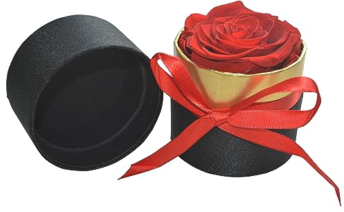 SEIYOGDS Rose Stabilizzate Fatte a Mano, Mini Scatola Regalo Rosa eterna, Regalo Duraturo per Festa della Mamma, Box Fiori Stabilizzati Veri, Rosa Stabilizzata,Ragazze Regali di Nozze,Anniversario
