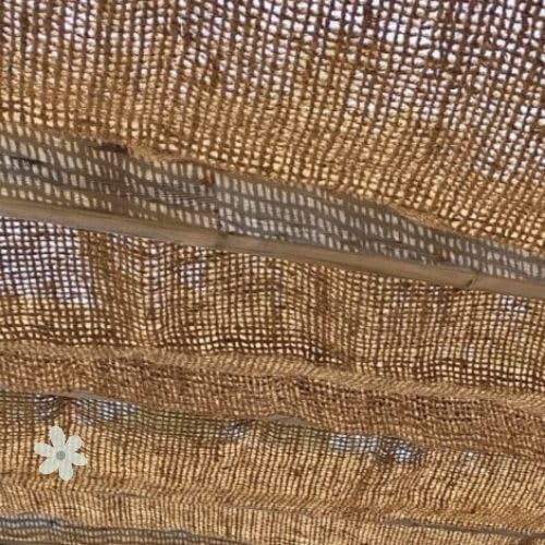 World PLANTIL Vela ombreggiante in fibra di cocco, tenda da sole, tessuto ombreggiante, rete ombreggiante, giardino, patio, terrazza, 100% naturale ed ecologico, 60% ombreggiatura (rettangolare, 2 x 3