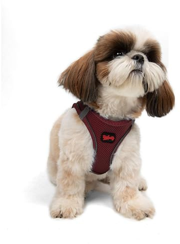Air-Mesh Brustgeschirr für kleine und mittelgroße Katzen und Hunde – Weich, Atmungsaktiv, Strapazierfähig (Bordeaux, S (Brustumfang 48–53cm))