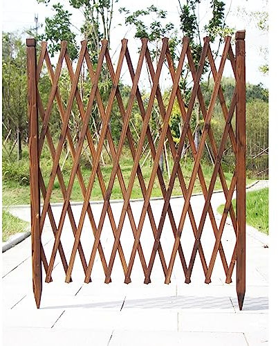 Bordure de jardin en bois avec cadre d'escalade rétractable pour parterres de fleurs et brise-vue