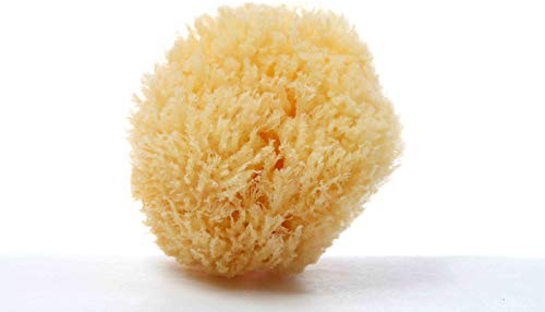 Kosmetikschwamm 3 Stück (Make-Up Entfernung/Abschminkpads) Ø 5-6 cm - kunststofffrei - Kosmetikschwämmchen/Naturschwamm/Meeresschwamm aus Griechenland - Premiumqualität & Vegan | ARISTOS