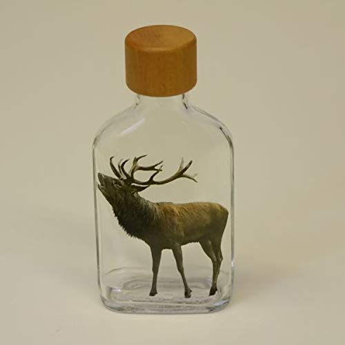 GTK - Geweihe & Trophäen KRUMHOLZ Kleine Flasche 100ml Glasfasche Flachmann Schnapsflasche mit Jagd Motiv Rothirsch Hirsch