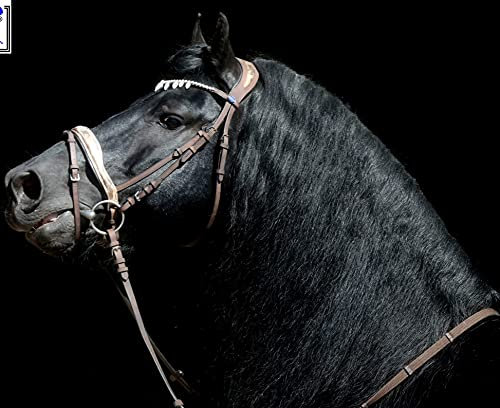 Tysons Breeches Trense Victoria Bro Braun Diadem ergonomisch Spanisch Barock VB WB Vollblut Warmblut (Warmblut)