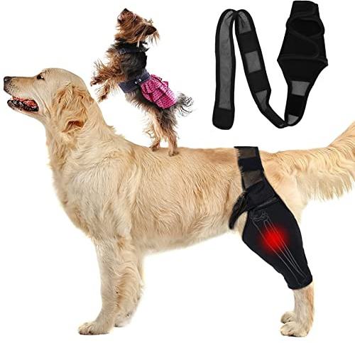 Almohadillas Protectoras para Codo de Protector de Codo para para Codo Canino Y Soporte de Hombro Higroma de Codo, Displasia, Osteoartritis, Callos de Codo(M)