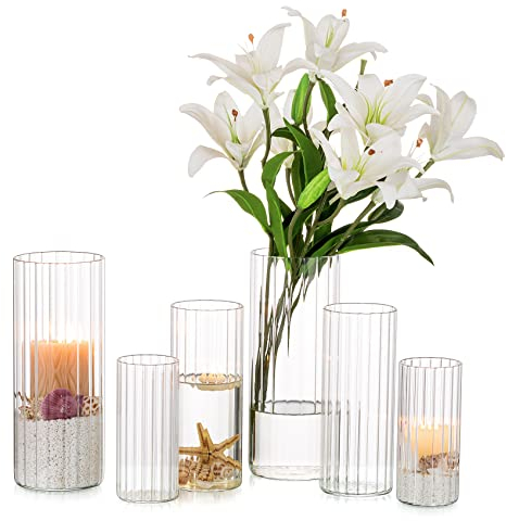 Nuptio Glasvase für Blumen Zylinder: 6 Stück Klare Blumenvasen für Hochzeit Tafelaufsätze Hurrikan-kerzenhalter für Säule Schwimmkerzen Weihnachten Tisch Wohnzimmer Dekor (15cm/20cm/25cm Hoch)