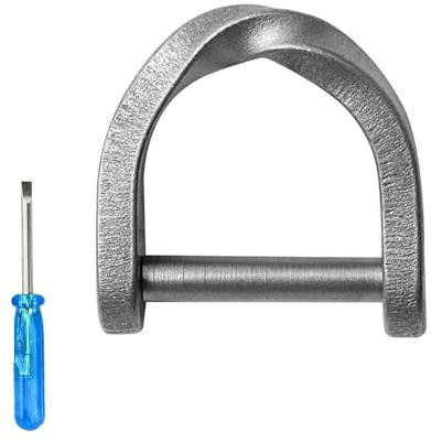 MiOYOOW Key D-Ring, TC4 Titanium Horseshoe Clasp Lightweight Car Keys Shackle for Door Vehicle Keyrings Buckle Storage