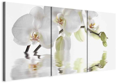 murando Väggbild Canvastavla Blommor Orkide 120x60 cm XXL Tryck Väggtavla 3 delar Kanvasbilder Väggmålningar Väggdekoration Spa Natur Vit b-C-0487-b-e