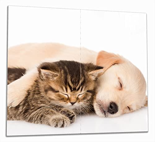 Wallario Herdabdeckplatte/Spritzschutz aus Glas, 2-teilig, 60x52cm mit 8mm hohen Füßen, für Ceran- und Induktionsherde, Katze und Hund in Harmonie - Kuschelnde Tiere