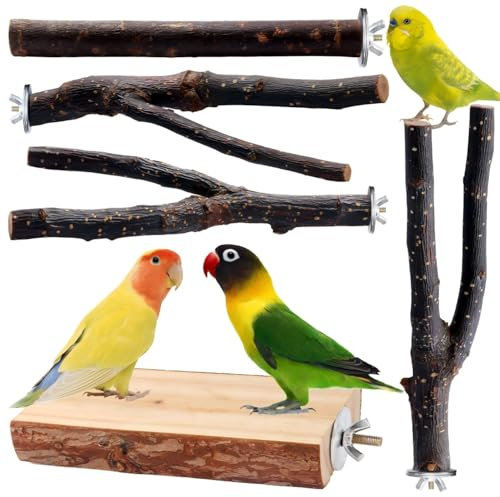Vogelspielzeug, Sittichsitzstange, Wellensittichsitzstange, Holzständer, Gabelspielzeug, Sitzstange mit mehreren Ästen, Plattformspielzeug für kleine Sittiche, Nymphensittiche, Sperlingspapageien, Unz