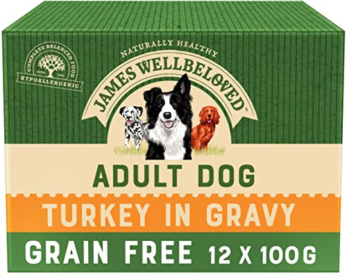 James Wellbeloved Adult Grain-Free Turkey in Gravy 12 Pouches, Hypoallergenic Wet Dog Food, Pack of 1 (12x100 g)