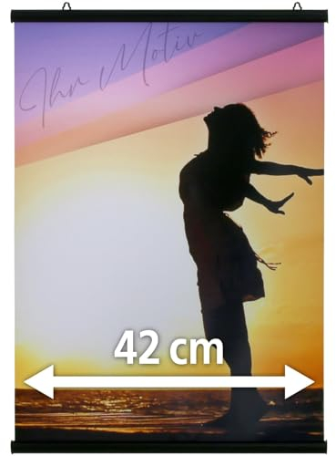 Alu Klemmschiene schwarz Posterschiene Poster aufhängen (42 cm (A2))