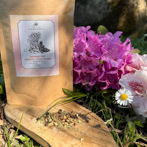 Tea Soul | Tisana Biologica Yoga in Bustine Piramidali 30g - Cannella, Zenzero, Finocchio, Chiodi di Garofano, Pepe Nero, Verbena Odorosa e Cardamomo - Ideale per Infusioni - Prodotto Biologico