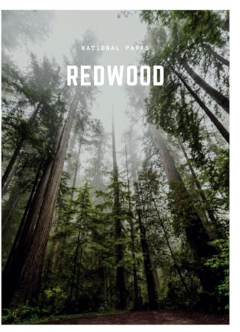 Redwood: A Decorative Book | Perfect for Coffee Tables, Bookshelves, Interior Design & Home Staging