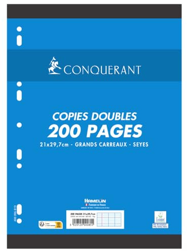 CONQUÉRANT SEPT 100105049 CONQUERANT Kanzleipapier, DIN A4, SEYES, 100 Blatt