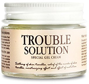 Supermodels Secrets Graymelin Korea TROUBLE SOLUTION SPECIAL Anti Pimple acne GEL CREAM 50 G