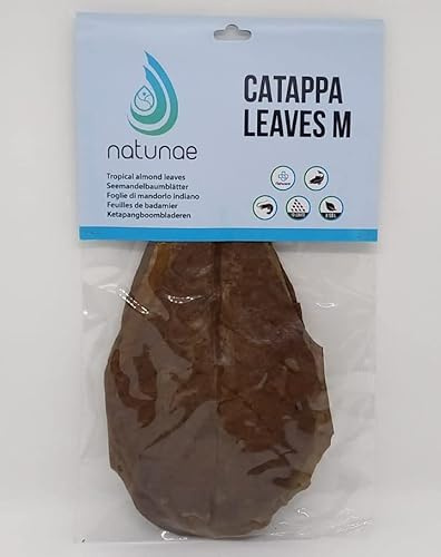 Natunae - Seemandelbaumblätter Catappa Leaves M - 10 stück - Natürliche Wasseraufbereiter Nahrungsergänzung Für Süßwasseraquarium Fische Betta, Garnelen, Welse - Fischfutter & Garnelenfutter