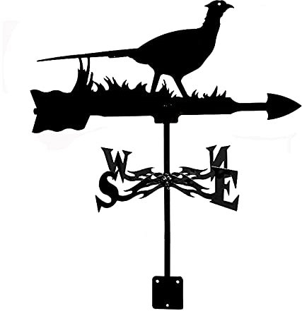 CAZARU Wetterfahne Fuchs Kolibri Zug Wetterfahne Messwerkzeug Edelstahl Wetterhahn Windrichtungsanzeiger mit Anti-Rost-Beschichtung 35 x 50 cm