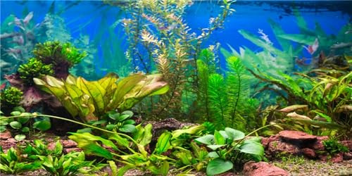 120 x 50 cm akvarium bakgrund vattenväxt flodsäng och sjö fisk tank dekor | Grön fisk tank bakgrund reptil livsmiljö terrarium dekoration vinyl tyg tyg tyg inte klistermärke