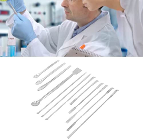 Espátula de Laboratorio, 2 Juegos de Espátula de Doble Punta de Laboratorio, 24 Piezas de Acero Inoxidable, Juego de Herramientas de Cuchara de Reactivo, Cuchara de