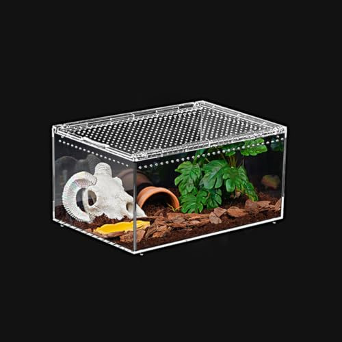 KAKOOTI Reptilien-PC-Terrarium 30 x 20 x 15 cm, Tarantel-Gehege, Spinnen-Tank-Starterset, Einsiedlerkrebs-Lebensraum, Echsen-Gehege, Insekten-Behausung, Springspinne-Käfig