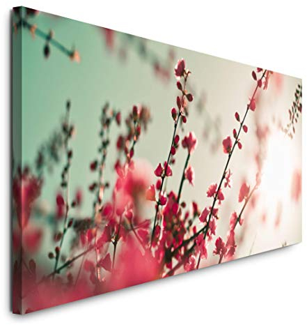 Paul Sinus Art GmbH asiatische Kirschblüten 120x 50cm Panorama Leinwand Bild XXL Format Wandbilder Wohnzimmer Wohnung Deko Kunstdrucke