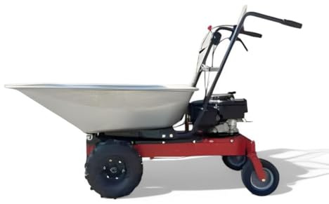 Briconess.com Motocarriola a Scoppio Motore Loncin 139 cc Vasca Zincata 110 Litri Marcia Manuale e Retromarcia Portata 200 kg Acciaio Colore Metallico